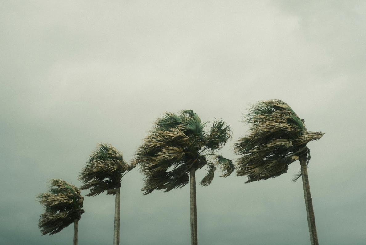 The wind begins to pick up Pre-Hurricane.